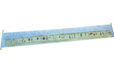 Panorama des Pyrénées